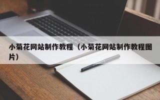 泰州小菊花网站制作教程（小菊花网站制作教程图片）