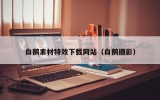 泰州白鹅素材特效下载网站（白鹅摄影）